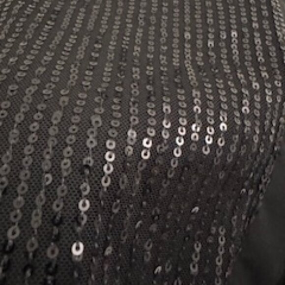 Top de Lentejuelas Negro con Escote en V (Black Sequin V-Neck Sleeveless Top) - Picture 3 of 8